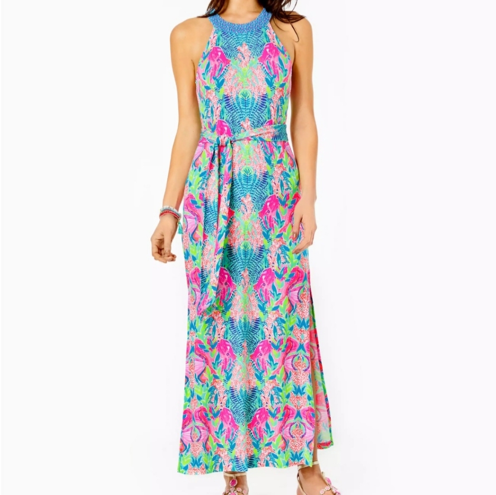 🩷 Lilly Pulitzer Monterrey Maxi XL